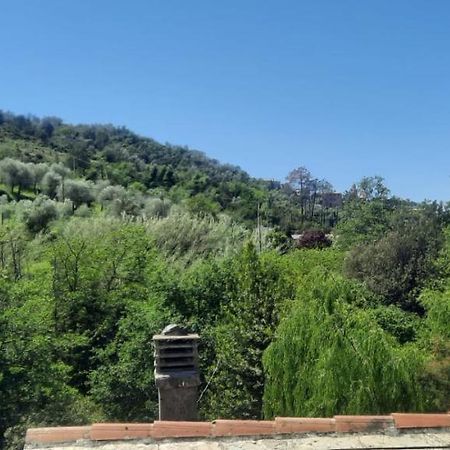 VECCHIO MULINO FONTONA Ortensia Chiesanuova (Liguria) Exterior foto