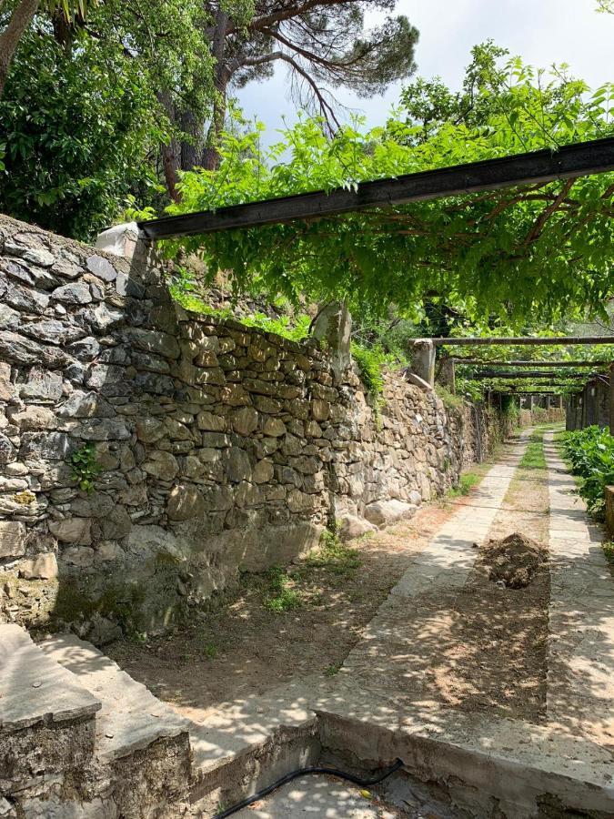 VECCHIO MULINO FONTONA Ortensia Chiesanuova (Liguria) Exterior foto