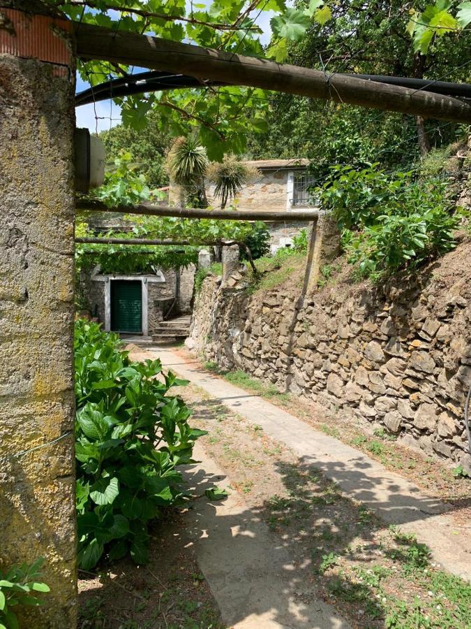 VECCHIO MULINO FONTONA Ortensia Chiesanuova (Liguria) Exterior foto