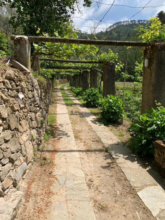 VECCHIO MULINO FONTONA Ortensia Chiesanuova (Liguria) Exterior foto