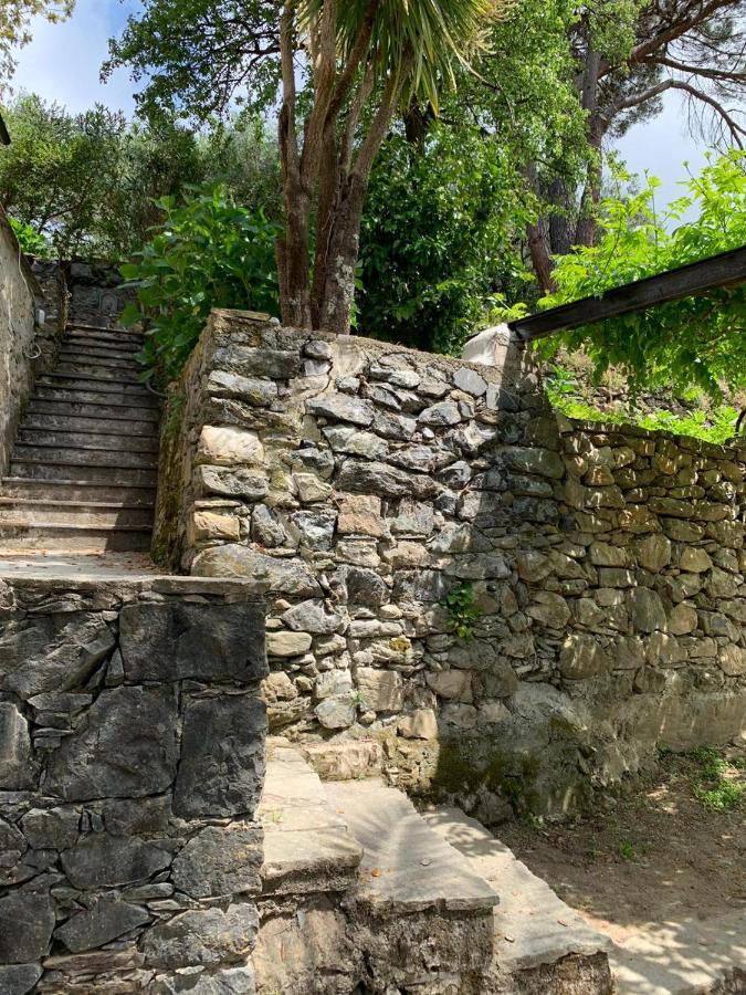 VECCHIO MULINO FONTONA Ortensia Chiesanuova (Liguria) Exterior foto