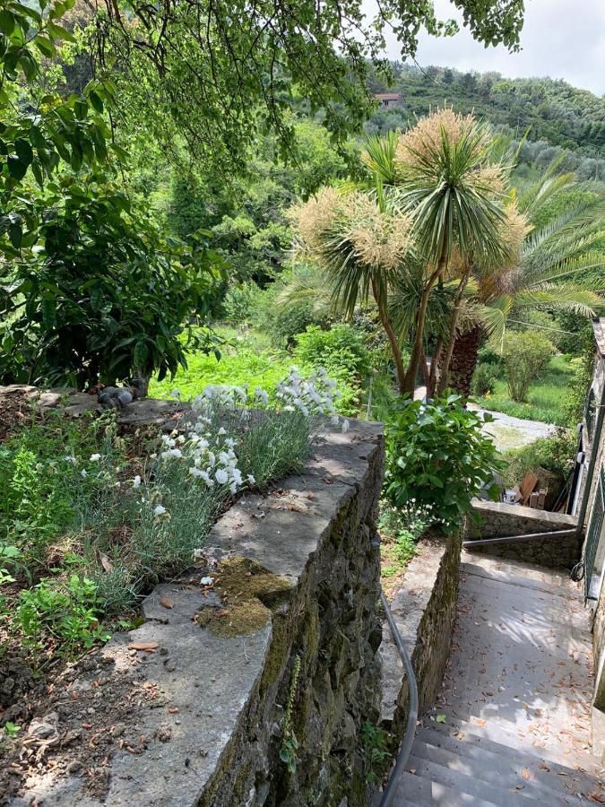 VECCHIO MULINO FONTONA Ortensia Chiesanuova (Liguria) Exterior foto