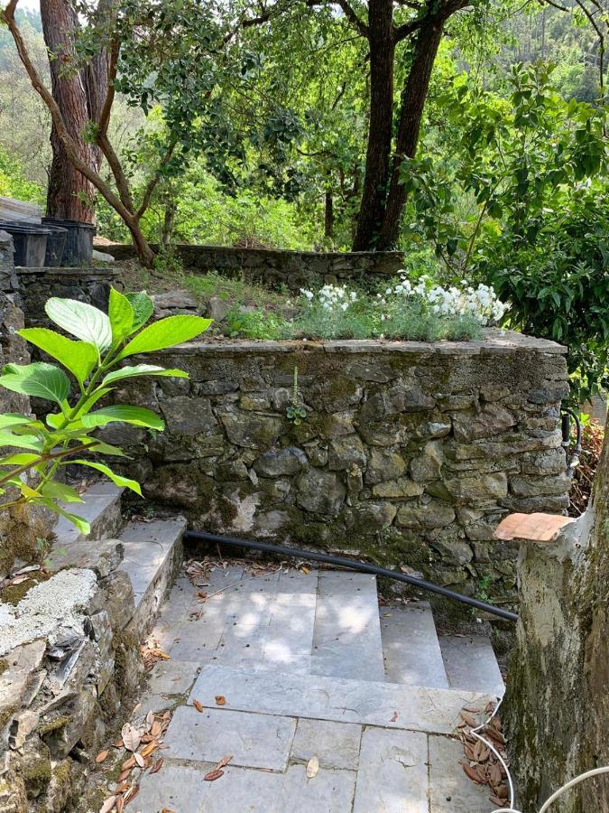 VECCHIO MULINO FONTONA Ortensia Chiesanuova (Liguria) Exterior foto