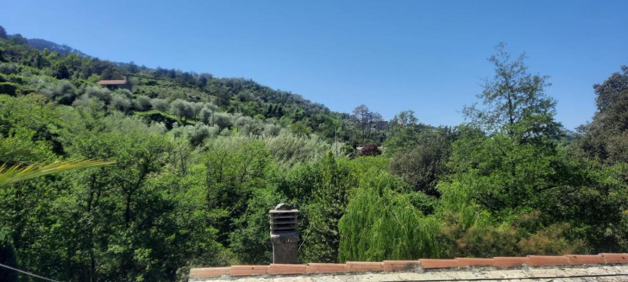 VECCHIO MULINO FONTONA Ortensia Chiesanuova (Liguria) Exterior foto