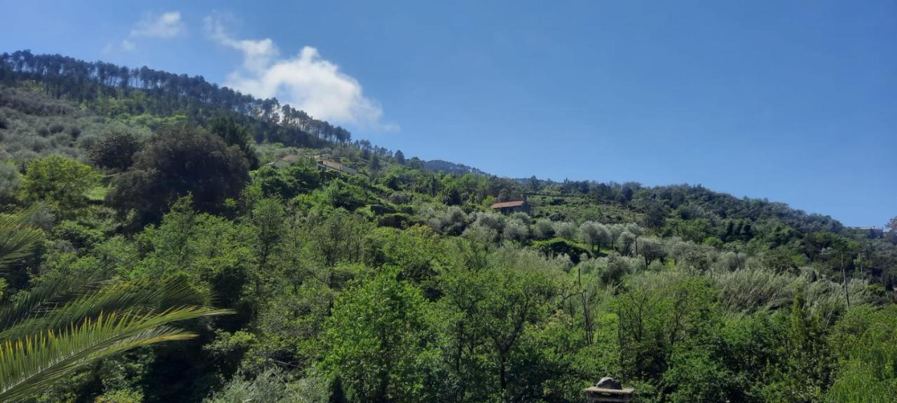 VECCHIO MULINO FONTONA Ortensia Chiesanuova (Liguria) Exterior foto